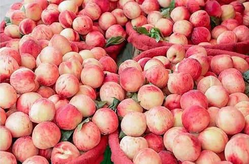 images/1656664365086peach grader.jpg